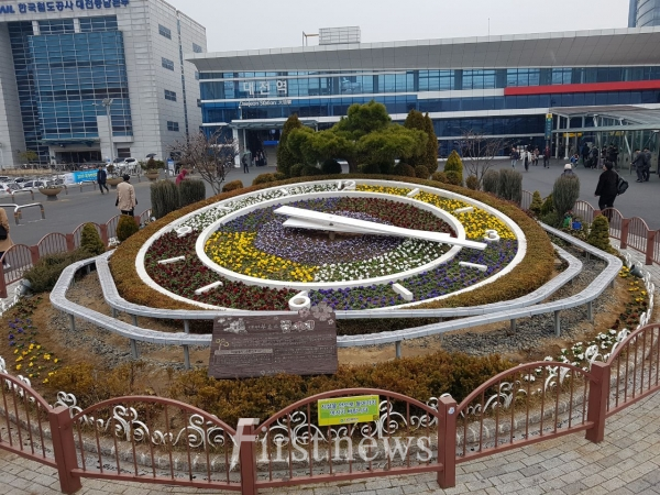 사진=대전역 꽃시계 화사한 봄옷을 입다