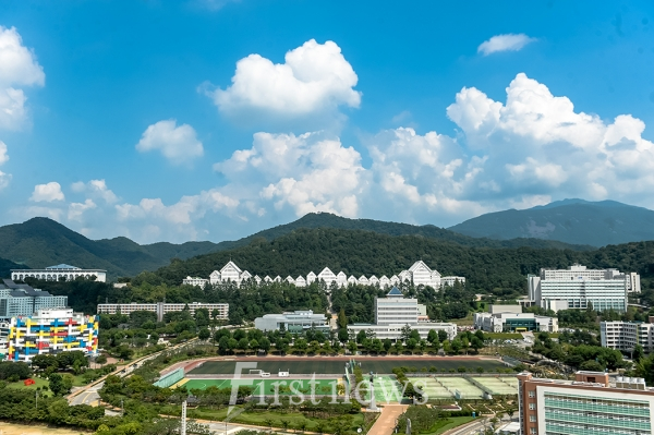 조선대학교