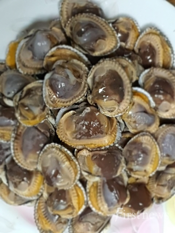 고흥 알꼬막