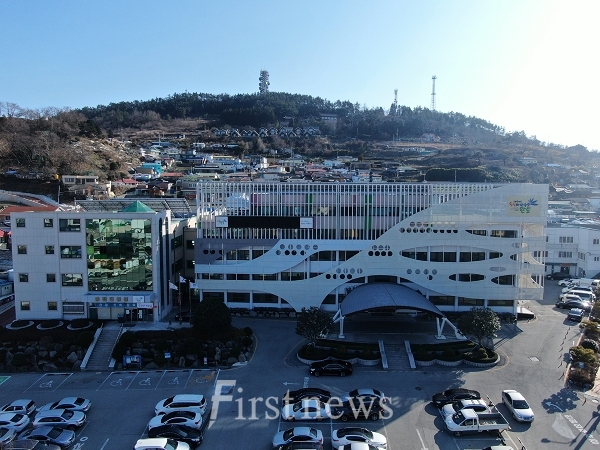 완도군청 전경