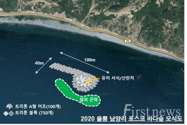 바다숲 모식도