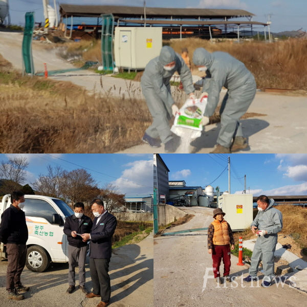현장  방역활동