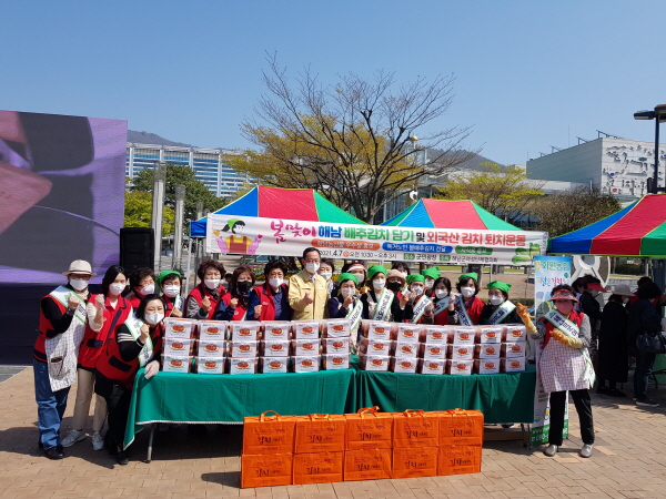 해남배추홍보사진