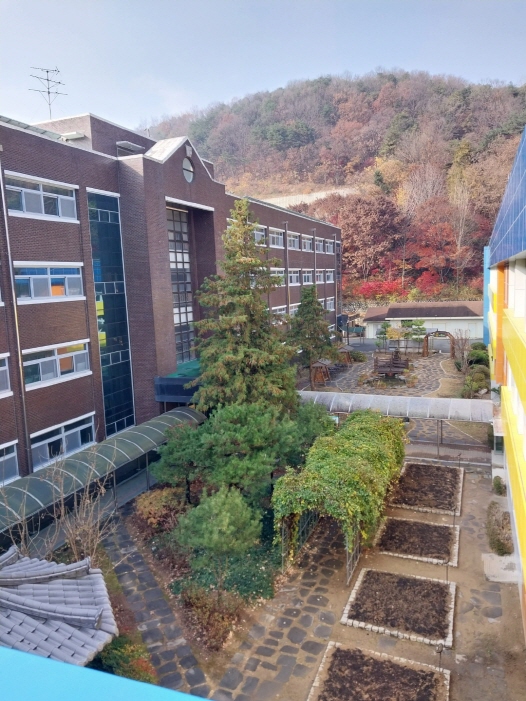 공주시 공주교대부설초 학교숲(산림자원과)