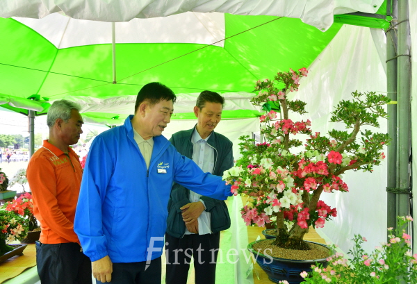 축제장 점검 김한종 장성군수