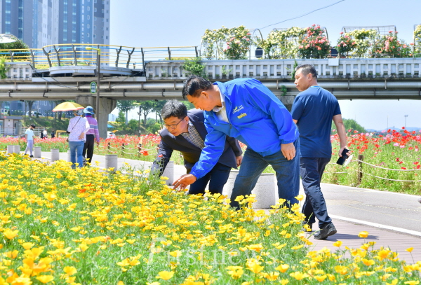 김한종 장성군수가 길동무 꽃길축제가 열리는 황룡강 일원을 점검