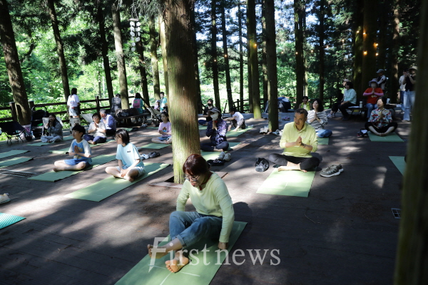 축령산에서 열린 '숲속여가' 현장. 편백숲에서 요가