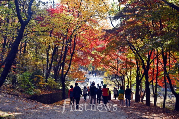 관악수목원 가을단풍