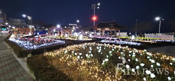 포항 겨울 바다 물들이는 오색의 불빛, 영일대 LED 장미원 새 단장1