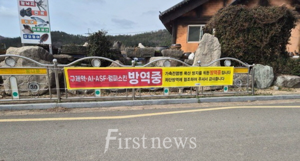 진도군, 신비의바닷길 축제 대비 구제역 차단 총력