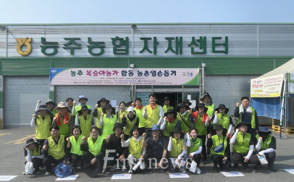 전남농협 화순군 복숭아 봉지씌우기 일손돕기
