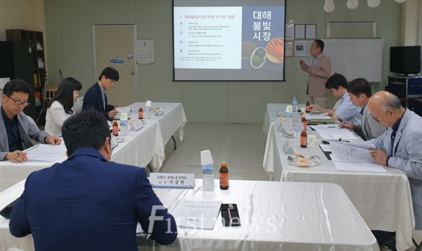 포항 대해불빛시장, 야간관광 명소로 … 문화관광형시장 육성사업 시동