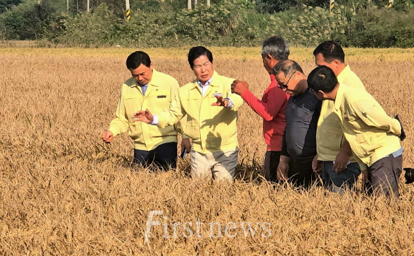 공영민 고흥군수, 벼‘깨씨무늬병’ 피해 현장 점검… 확산 방지 총력 대응